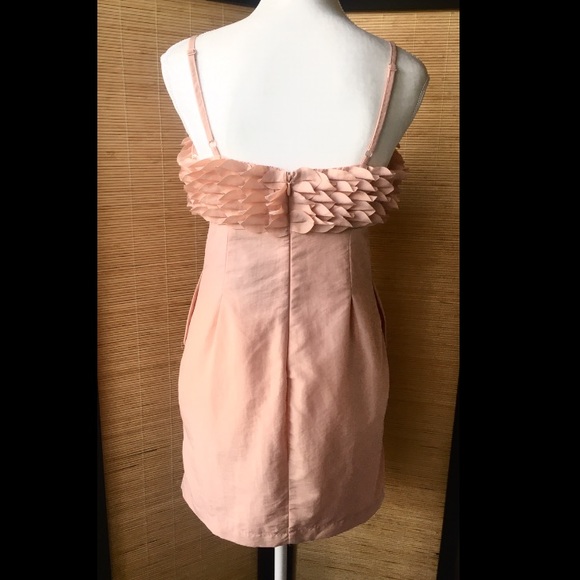 Pink Petal Cocktail Dress - Picture 3 of 8